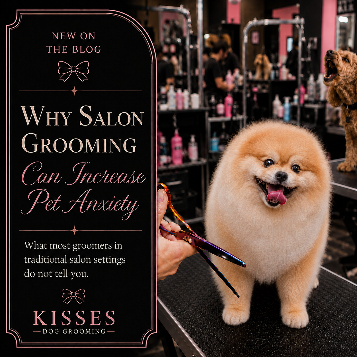 Why salon grooming can cause anxiety for dogs